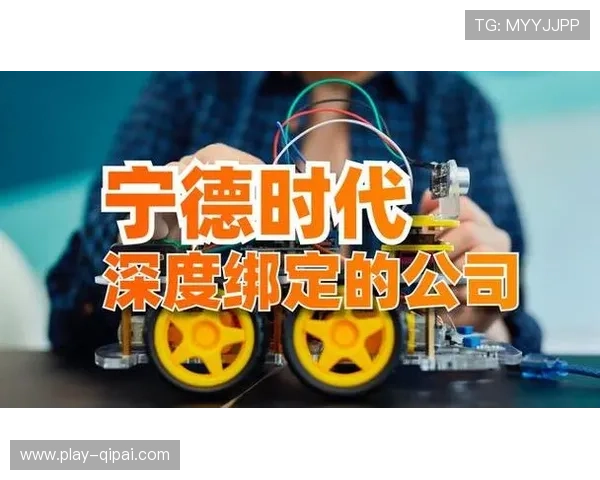 品牌赞助体系正与激励机制尝试深度绑定 拓展了非营利服务的外部增益空间